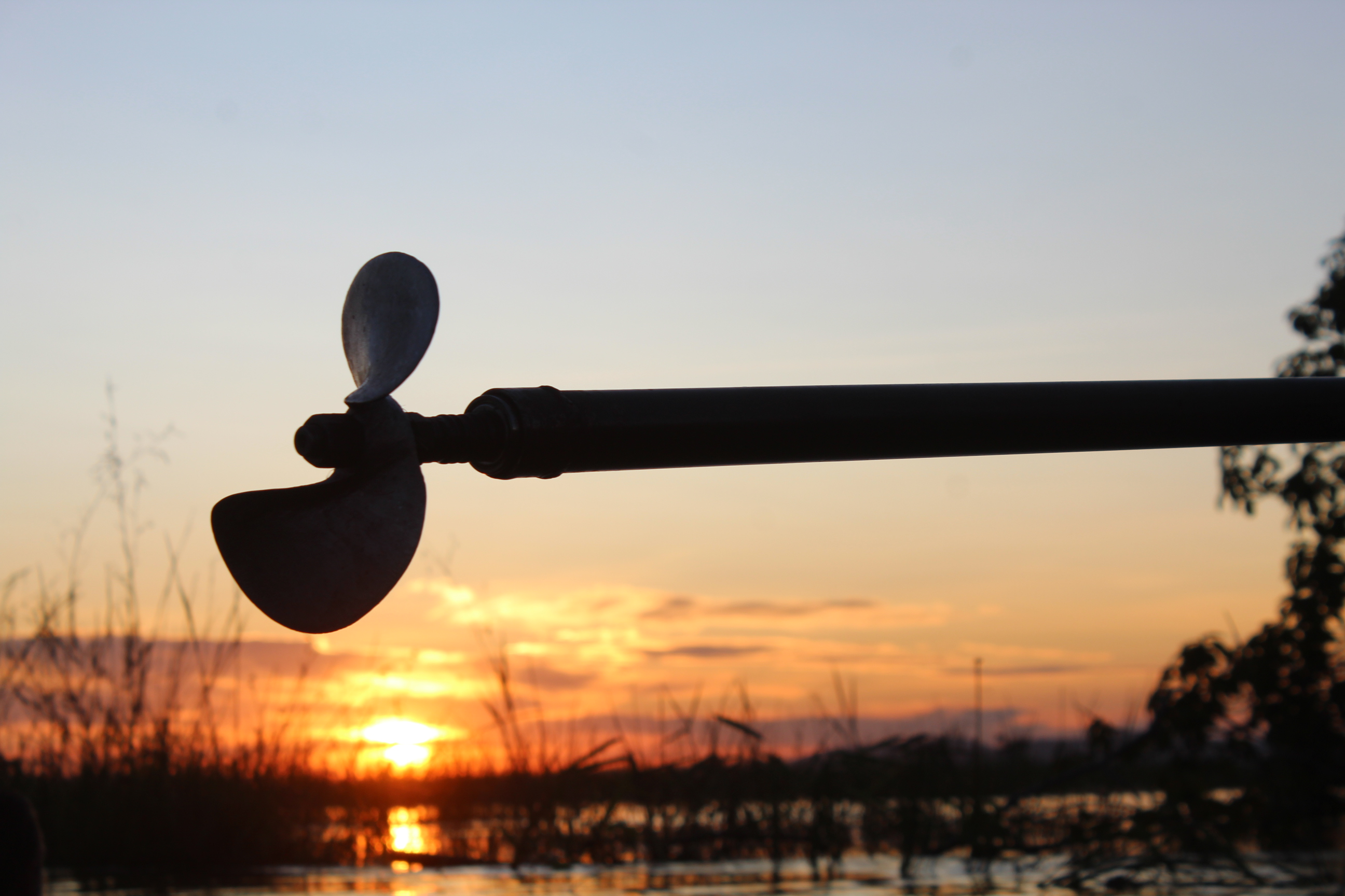 Paraguai Mirim 5.JPG