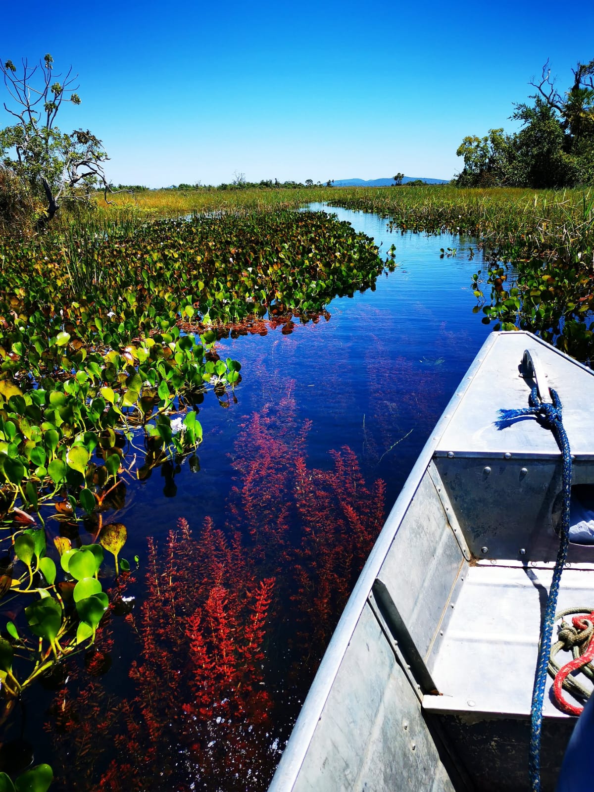 Paraguai Mirim 3.jpg
