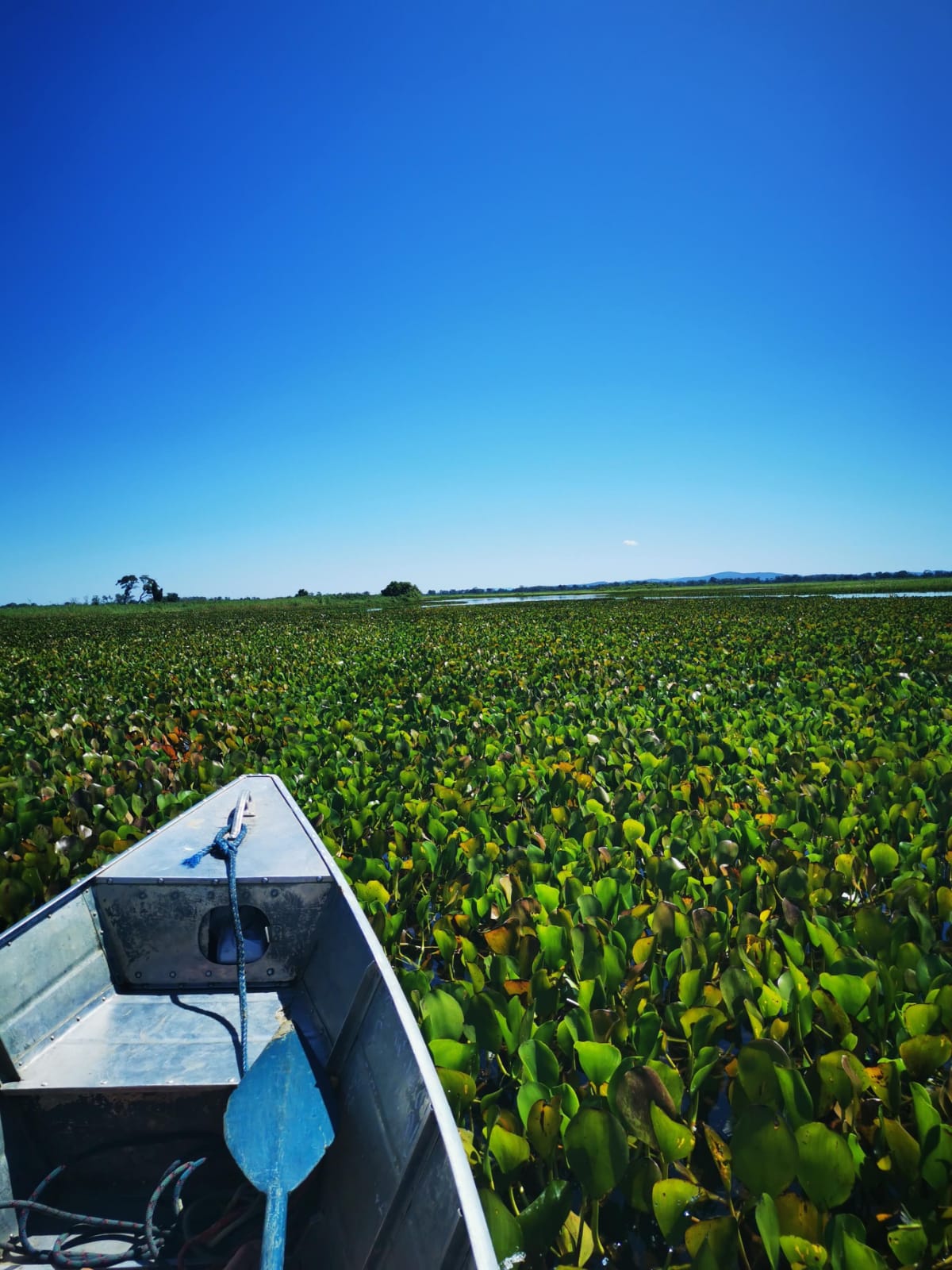 Paraguai Mirim 4.jpg