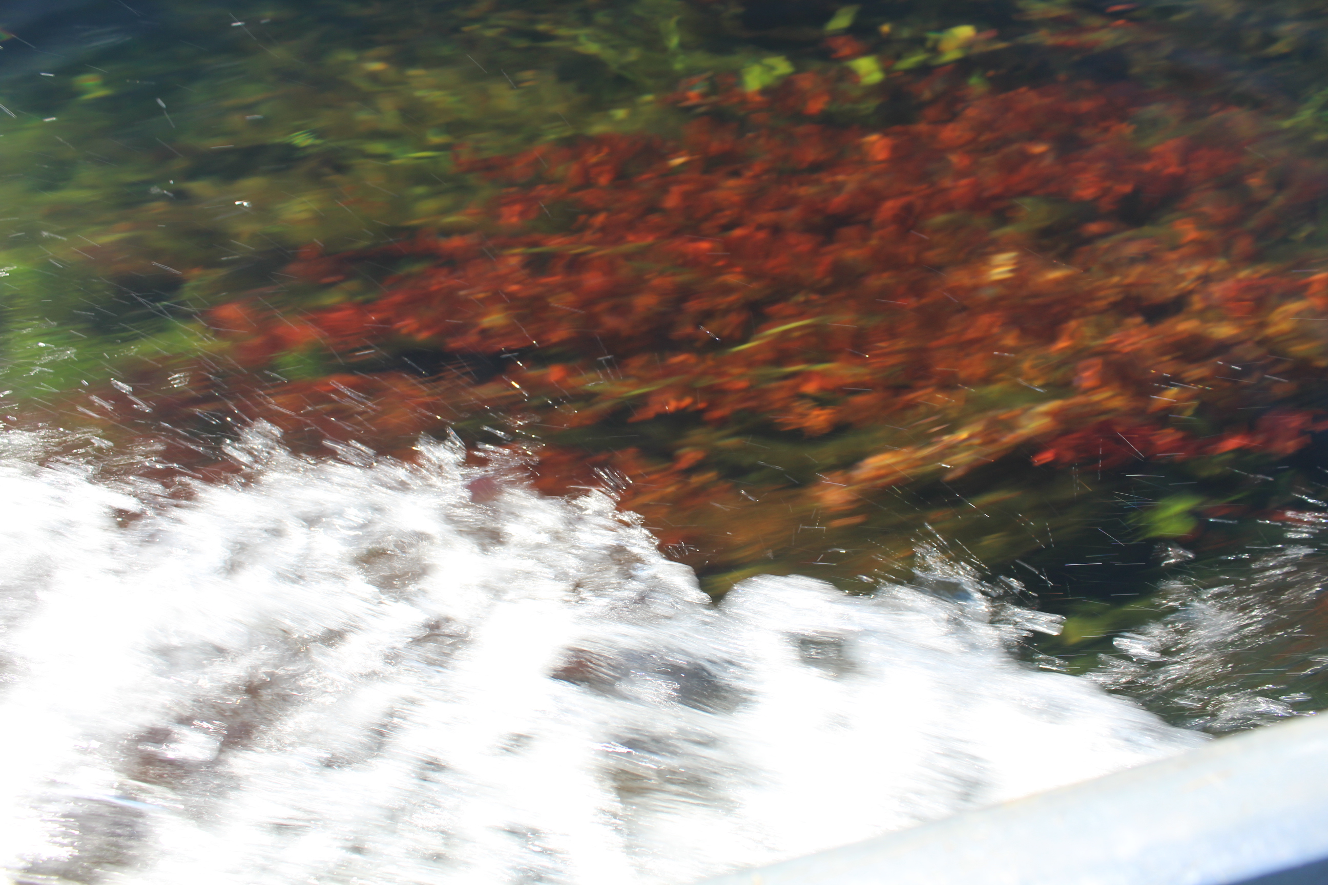 Paraguai Mirim 9.JPG